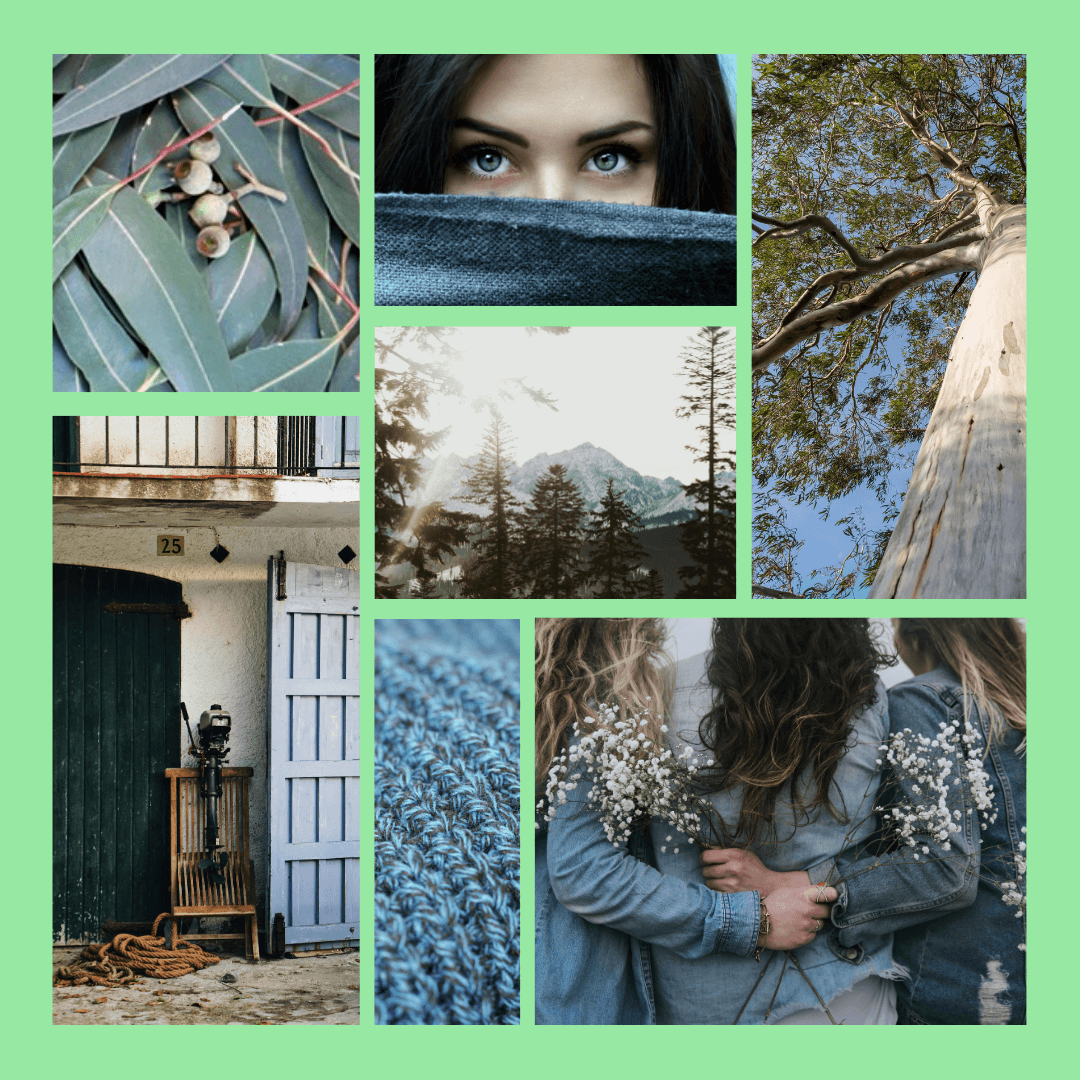 Moodboard olfactif de l'Eucalyptus